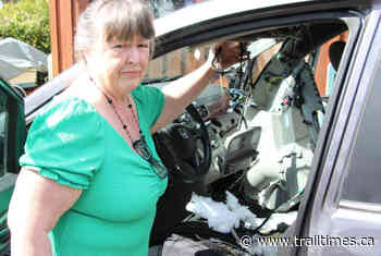 Bear destroys Vancouver Island van after getting trapped inside – Trail Daily Times - Trail Times