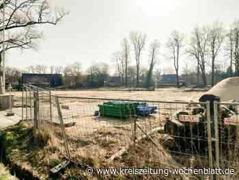 Gemeinde Stelle: Bau des Supermarktes in Ashausen beginnt in Kürze - Stelle - Kreiszeitung Wochenblatt