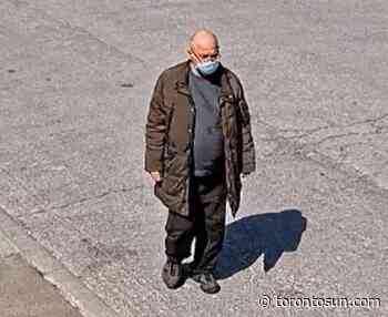 Man sought in vandalism of vehicle with Ukrainian flag in Markham - Toronto Sun