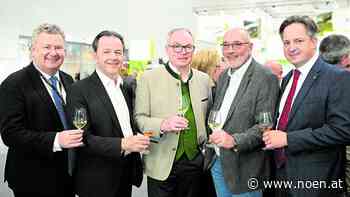Zuversicht auf Weinmesse: NÖ Weine so begehrt wie nie - NÖN.at