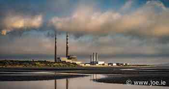 Shock as dead dolphin vandalised with graffiti on Dublin beach - JOE.ie