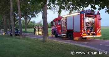 Vrouw raakt gewond bij botsing tegen boom bij Zwolle - Tubantia