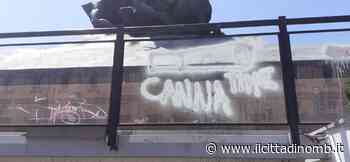 "Canna time" su Caduti di Monza - Il Cittadino di Monza e Brianza