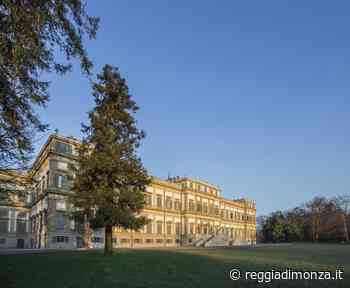 Pic-Drink - Reggia di Monza