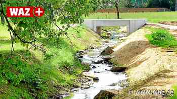 Vor allem Nutrias lieben den neuen Kamperbach in Witten - WAZ News