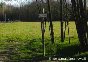 Gli studenti di Samarate vogliono mappare i boschi dell'anello di Verghera - MalpensaNews.it
