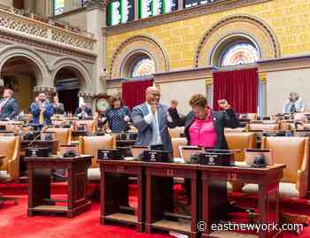 East New York Assemblywoman Nikki Lucas Gets Her First Bill Passed Just 90 Days After Winning the Seat - eastnewyork.com