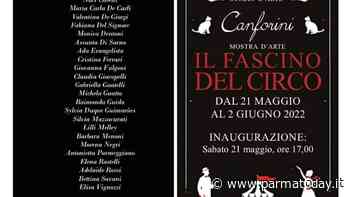 "Il fascino del circo" alla Galleria Sant'Andrea - ParmaToday