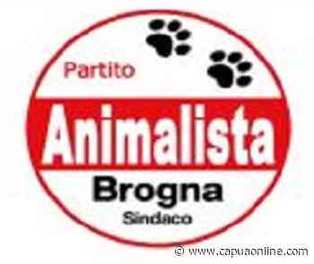 Capua. Il dott. Pietro Petrarolo ufficializza la propria uscita dalla lista "Animalisti" a sostegno di Brogna. - Capuaonline.com