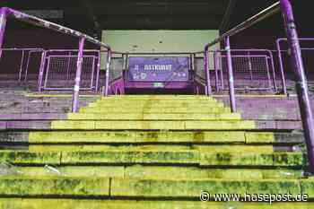 VfL Osnabrück auf der Suche nach einem Torjäger: Kommt Cottbus-Top-Scorer Erik Engelhardt? - HASEPOST – Die Online Zeitung für Osnabrück