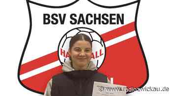 Neue kommen aus Erlangen und Ungarn - Radio Zwickau