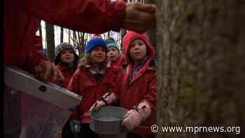 In Duluth, preschool moves from the classroom to the forest - MPR News