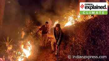 Explained: Why are forest fires in the hills intensifying this summer? - The Indian Express