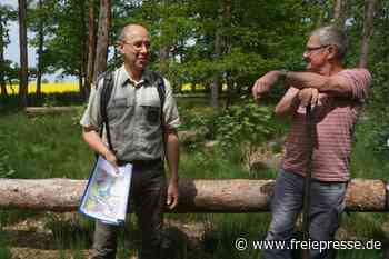 Warum sich der Hainichener Wald verändern wird - freiepresse.de