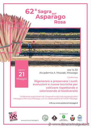 Rigenerare e preservare i suoli - Sagra dell'Asparago Rosa di Mezzago | 21/05/2022 - Itinerari nel Gusto