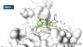 Deutsche Firma will den Schlüssel zur Krebsbekämpfung gefunden haben
