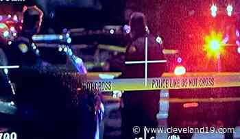 Man shot in head overnight near Cleveland's Forest Hills neighborhood - Cleveland 19 News