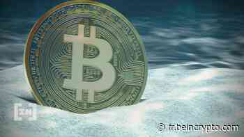 Bitcoin : la petite pièce orange en chute libre depuis plus de deux mois - BeinCrypto France - BeInCrypto France