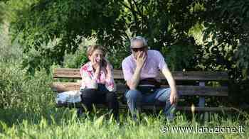 Erba alta e verde ’selvaggio’ "Bisogna attendere il 1° giugno" - LA NAZIONE