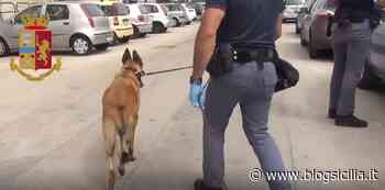 Crack ed erba nella piazza dello spaccio, un arresto e sequestri di droga - BlogSicilia.it