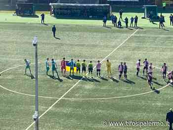 Ma il tabù dell'erba... finta i rosanero lo hanno già sfatato - TifosiPalermo
