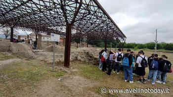 Taglio dell'erba e pulizia, Spagnuolo: "Il Parco Archeologico di Abellinum è la nostra priorità" - AvellinoToday