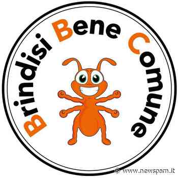 “LA POLITICA INDUSTRIALE DI BRINDISI LA DECIDE LA CITTÀ, NON L'AUTHORITY” - newSpam.it
