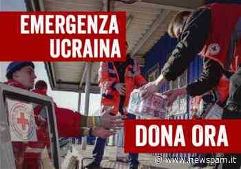 Avvio “1° Torneo Cri” Comitato di Brindisi | new pam.it - Informiamo Brindisi e provincia - newSpam.it