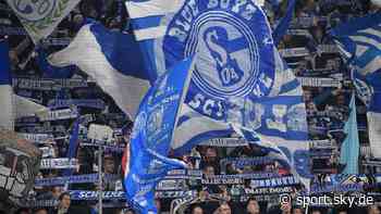 Champions League: Fan von Manchester City ins Koma geschlagen - Schalke-Fan verurteilt - Sky Sport