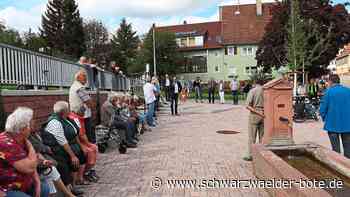 Städtebau in Wildberg: Neuer Platz bringt Brunnen zur Geltung