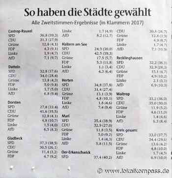 AfD-Marl - Ein Absturz mit Folgen?: Die AfD stolpert von Misserfolg zu Misserfolg - Marl - www.lokalkompass.de