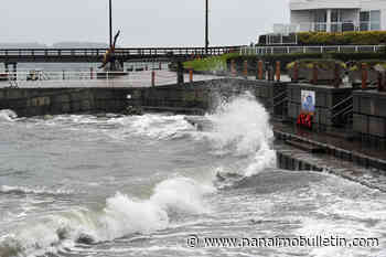 Strong wind gusts to hit Vancouver Island on Wednesday