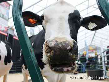 Terence Corcoran: How Ottawa blocks the dairy supply chain - Financial Post