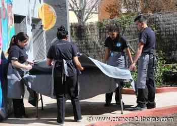 Zamora anota el mayor repunte de afiliados extranjeros a la Seguridad Social en la comunidad - Zamora 24 Horas