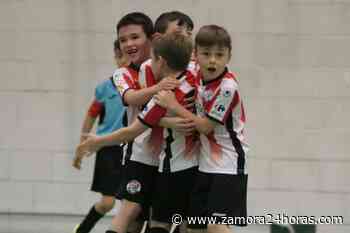 El Zamora CF abre el plazo de inscripción para la Escuela de Fútbol de la temporada 2022-2023 - Zamora 24 Horas