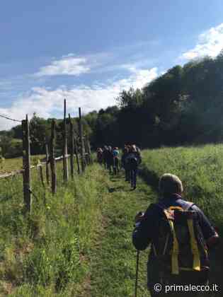 Inaugurato l'Antico Percorso di Fede in Brianza - Prima Lecco