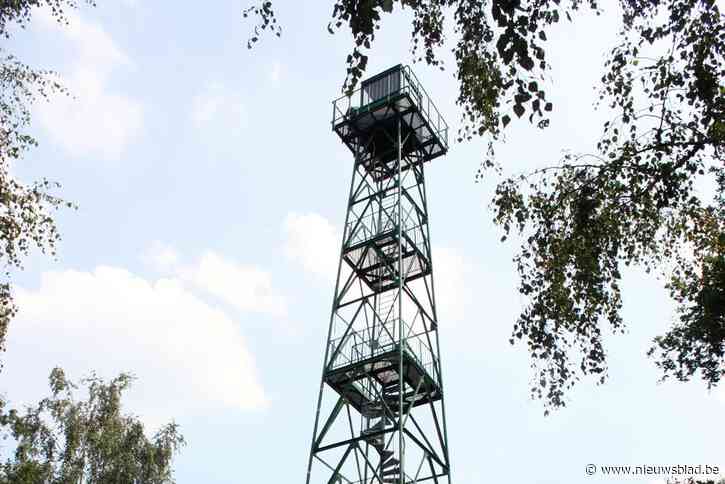 Stukje Kolisbos in Neerpelt gaat in vlammen op