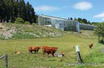 Kleintettau - Noch mehr Umweltschutz im Tropenhaus - Neue Presse Coburg