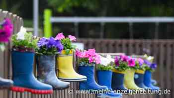 Ringen um Tarifeinigung für Kitas und Sozialarbeit