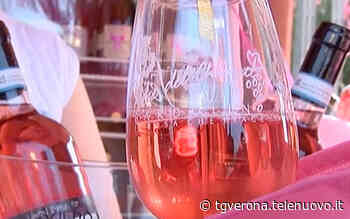 Dal 27 al 29 maggio Bardolino si tinge di rosa per il Palio del Chiaretto VIDEO - TG Verona