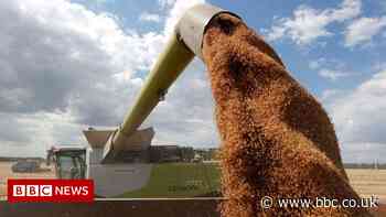 Bank governor in 'apocalyptic' warning over rising food prices