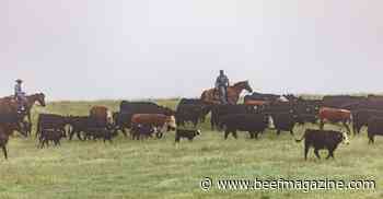 10 Tips for managing high feed prices