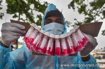 Coronavirus Live: Delhi on Wednesday sees a rise in fresh cases to 532, against 393 recorded on previous day - Deccan Herald