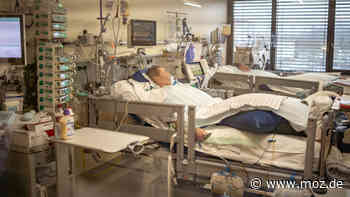 Krankenhaus in der Uckermark: Wie das Klinikum in Schwedt die Herausforderungen der Corona-Pandemie gemeistert hat - Märkische Onlinezeitung