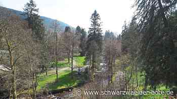 Dritter Krimi der Reihe: Justin Schmälzles Abschied aus Bad Wildbad