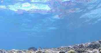 Oceans hotter, higher, more acidic: WMO - Gloucester Advocate