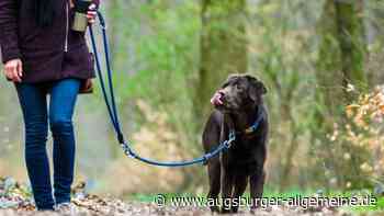 Jäger aus der Region appellieren an Tierhalter, Hunde anzuleinen