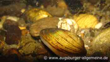 Diese Veranstaltungen erwarten Besucher der "Woche der Artenvielfalt"