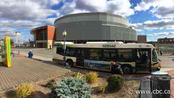 Moncton to study switching bus fleet from diesel to electric - CBC.ca