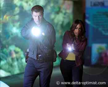 Nielsen list illustrates power of franchises for networks - Delta Optimist